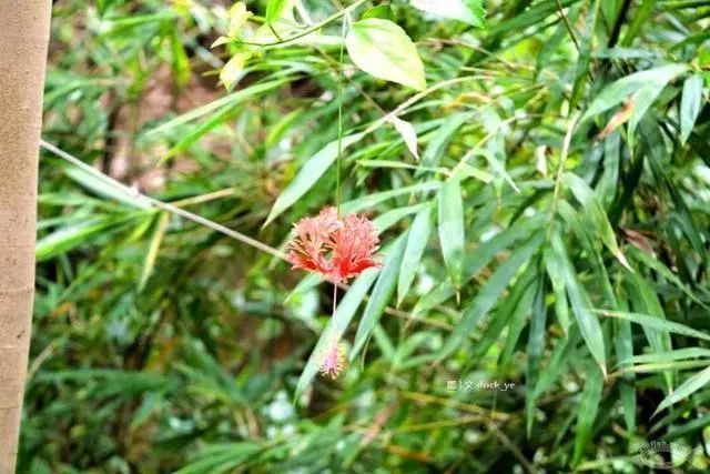 不走寻常路，12小时带你玩转不一样的厦门