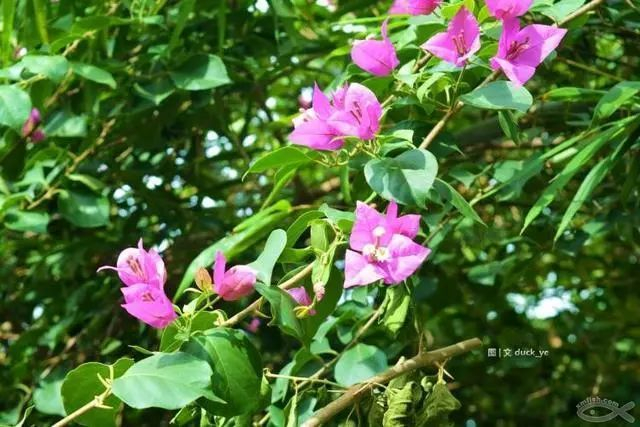 不走寻常路，12小时带你玩转不一样的厦门