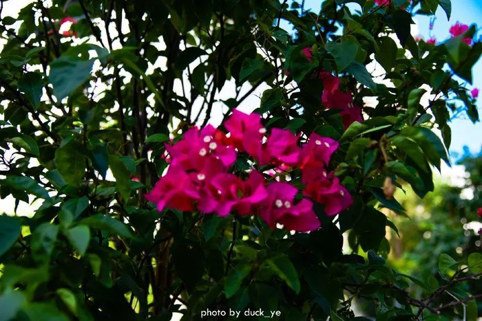 不走寻常路，12小时带你玩转不一样的厦门