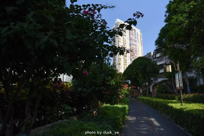 不走寻常路，12小时带你玩转不一样的厦门