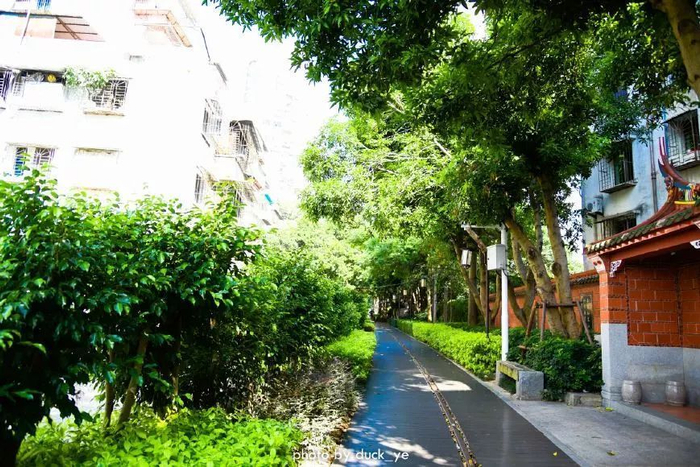 不走寻常路，12小时带你玩转不一样的厦门