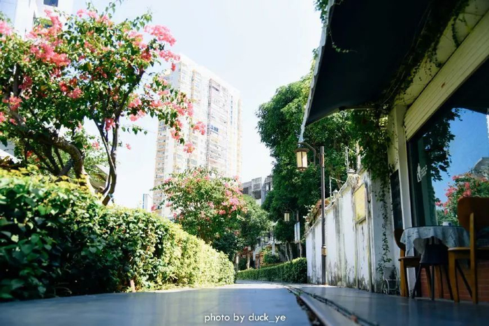 不走寻常路，12小时带你玩转不一样的厦门