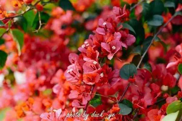 不走寻常路，12小时带你玩转不一样的厦门