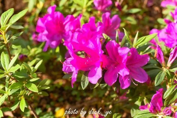 不走寻常路，12小时带你玩转不一样的厦门