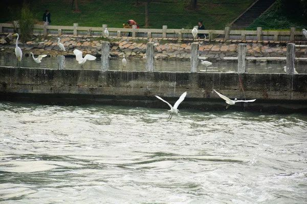 不走寻常路，12小时带你玩转不一样的厦门