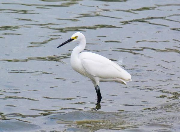 不走寻常路，12小时带你玩转不一样的厦门