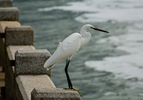 不走寻常路，12小时带你玩转不一样的厦门
