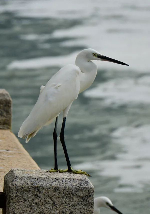 不走寻常路，12小时带你玩转不一样的厦门
