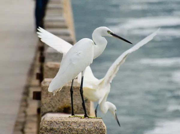 不走寻常路，12小时带你玩转不一样的厦门