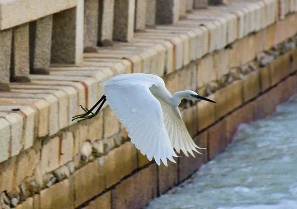 不走寻常路，12小时带你玩转不一样的厦门