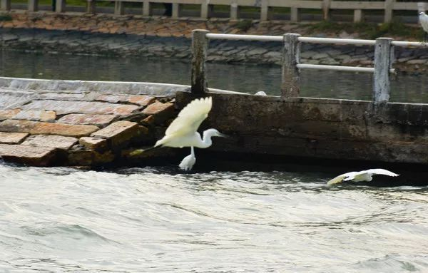不走寻常路，12小时带你玩转不一样的厦门