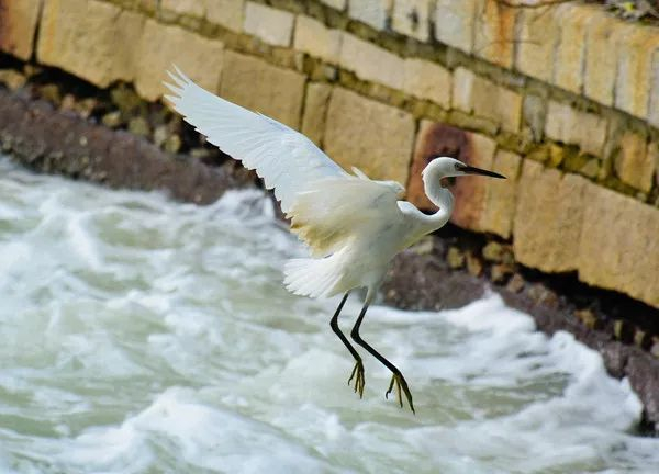 不走寻常路，12小时带你玩转不一样的厦门