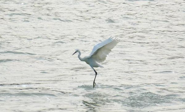 不走寻常路，12小时带你玩转不一样的厦门