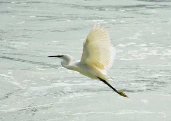 不走寻常路，12小时带你玩转不一样的厦门