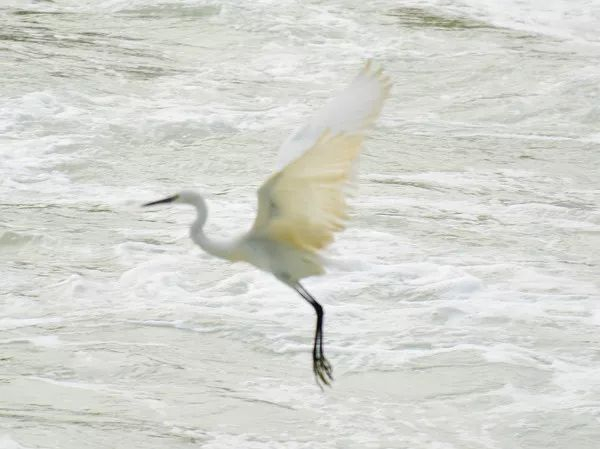 不走寻常路，12小时带你玩转不一样的厦门