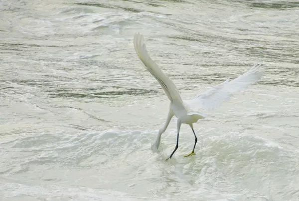 不走寻常路，12小时带你玩转不一样的厦门