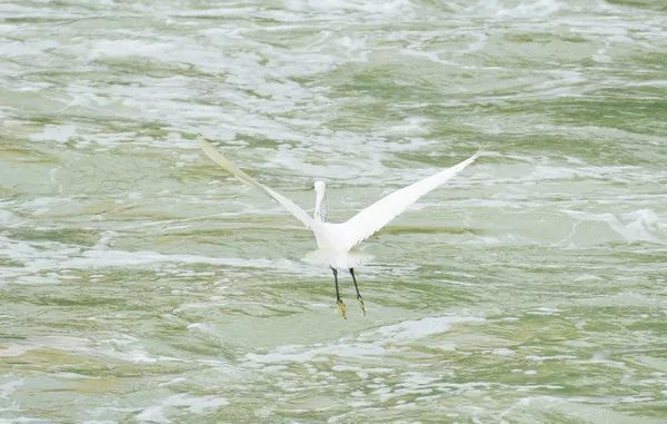 不走寻常路，12小时带你玩转不一样的厦门