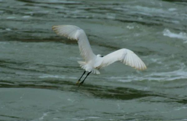 不走寻常路，12小时带你玩转不一样的厦门