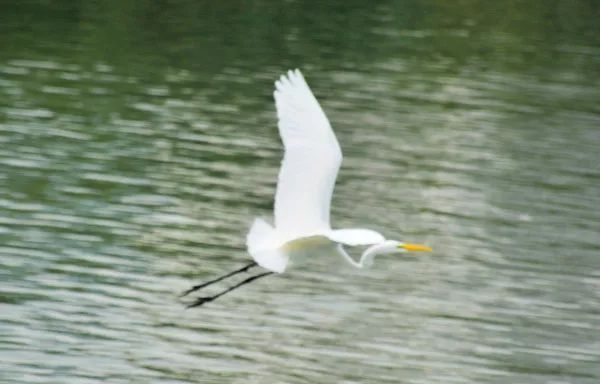 不走寻常路，12小时带你玩转不一样的厦门