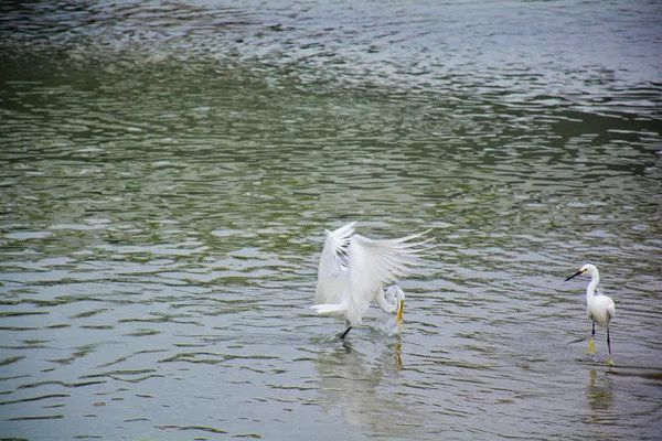 不走寻常路，12小时带你玩转不一样的厦门