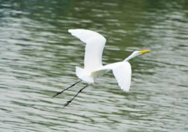 不走寻常路，12小时带你玩转不一样的厦门