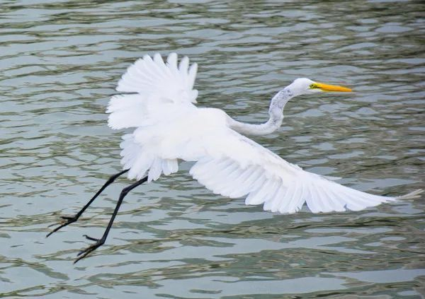 不走寻常路，12小时带你玩转不一样的厦门