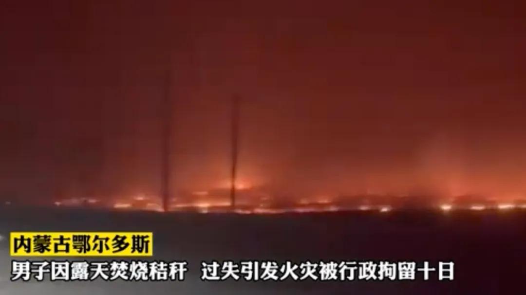 利用秸秆的方法_秸秆肥料化_秸秆饲料化