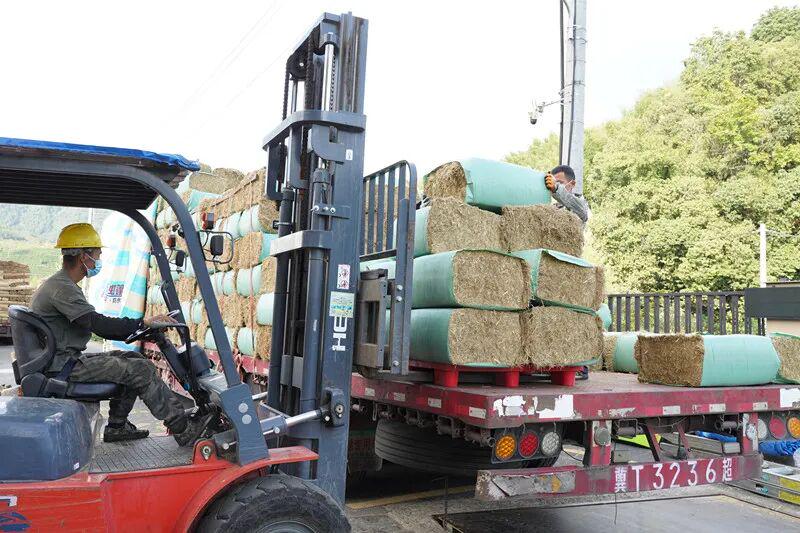 秸秆饲料化_秸秆肥料化_利用秸秆的方法