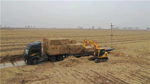 利用秸秆的方法_吉林省松原市宁江区秸秆综合利用_秸秆肥料化饲料化能源化