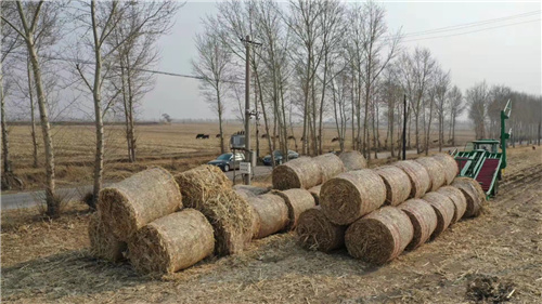 秸秆肥料化饲料化能源化_吉林省松原市宁江区秸秆综合利用_利用秸秆的方法
