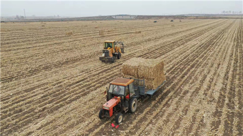 吉林省松原市宁江区秸秆综合利用_利用秸秆的方法_秸秆肥料化饲料化能源化