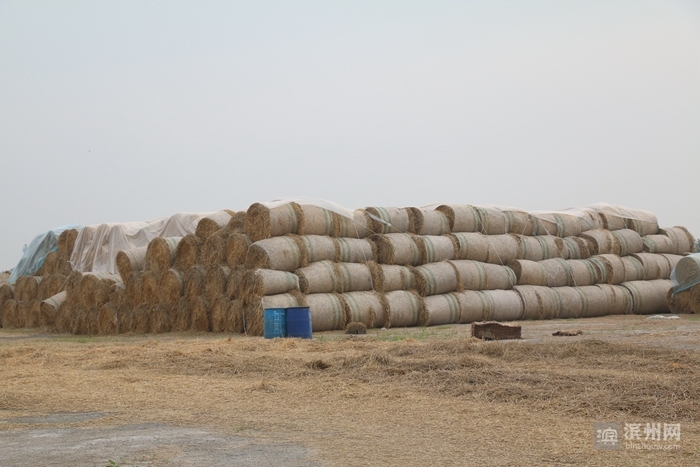 秸秆焚烧危害_利用秸秆的方法_秸秆综合利用