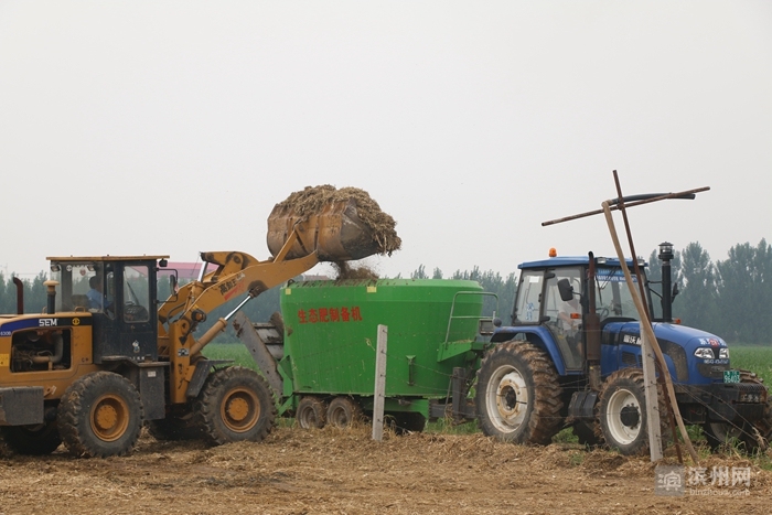 利用秸秆的方法_秸秆综合利用_秸秆焚烧危害