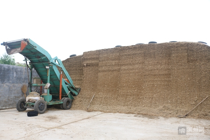 利用秸秆的方法_秸秆焚烧危害_秸秆综合利用