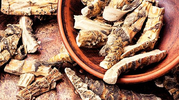 刺五加酒的功效与作用_东北人参五味子枸杞鹿茸泡酒_东北刺五加鹿茸泡酒功效