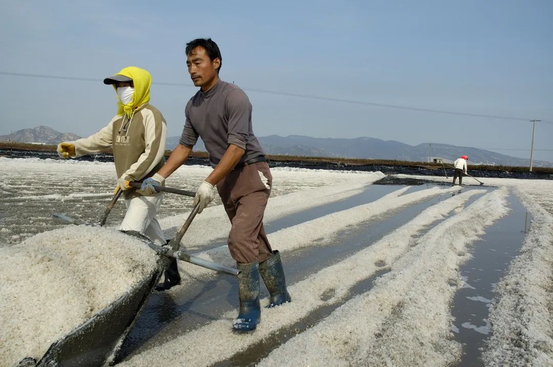 淮盐制作技艺_连云港山海文化_淮盐文化