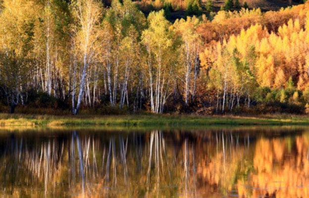 在呼伦贝尔观赏银河_呼伦贝尔大草原最佳旅行时间_自驾呼伦贝尔大草原攻略