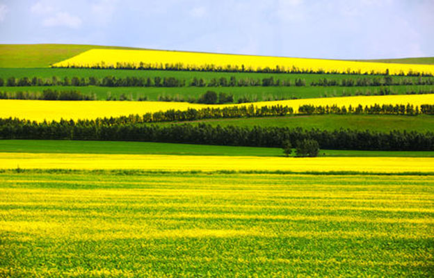 自驾呼伦贝尔大草原攻略_在呼伦贝尔观赏银河_呼伦贝尔大草原最佳旅行时间