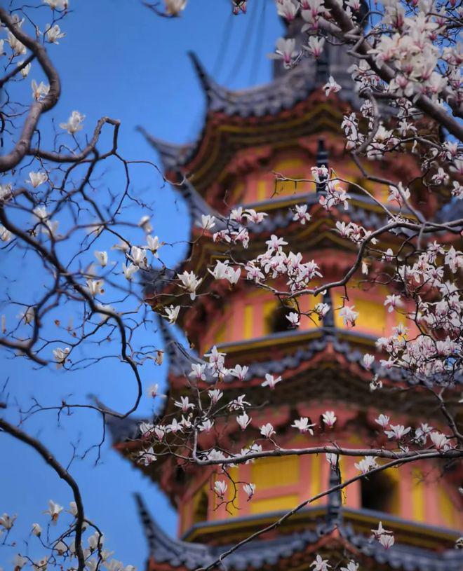 苏州旅行社排名_苏州口碑好的旅行社_苏州旅行社官网