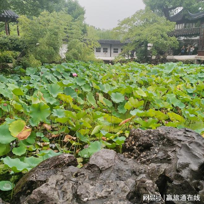 2026年苏州正规备案旅行社名录_中港国际旅行社实力解析_苏州旅行社官网