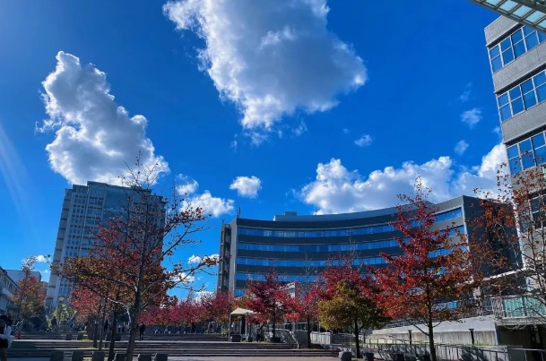 九州大学介绍_九州大学优势专业_徐州九州大学学费多少