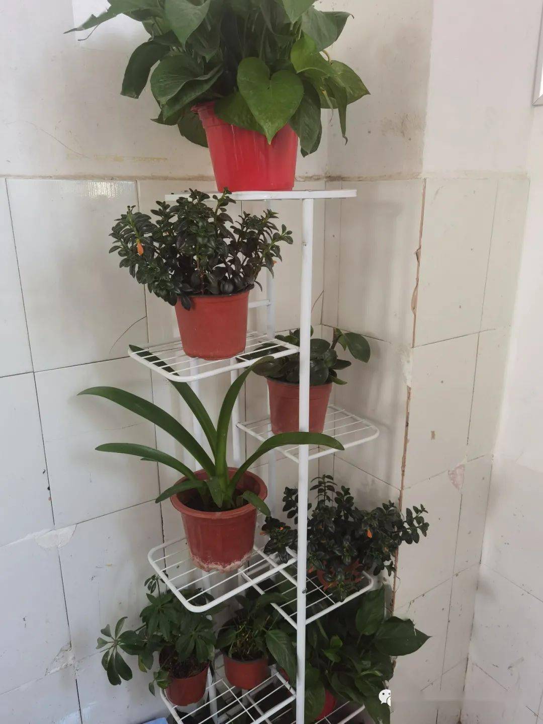 初三班级文化建设图_各美其美 美美育人_班级文化建设活动