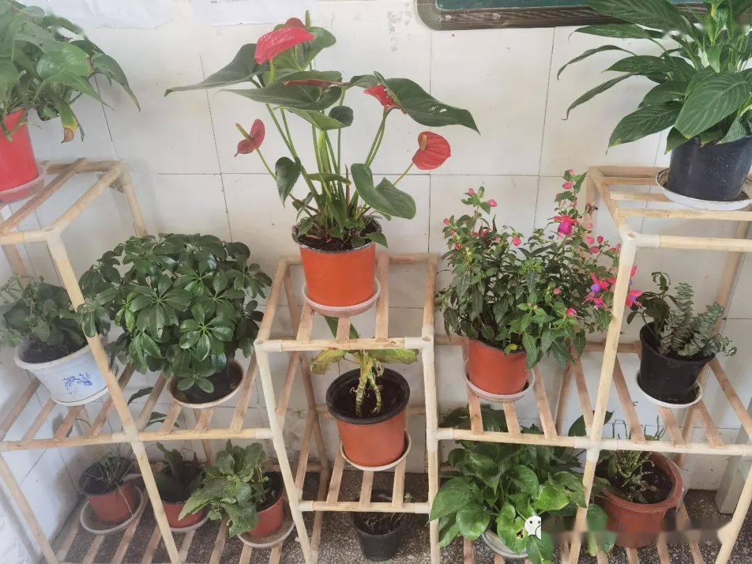 班级文化建设活动_各美其美 美美育人_初三班级文化建设图