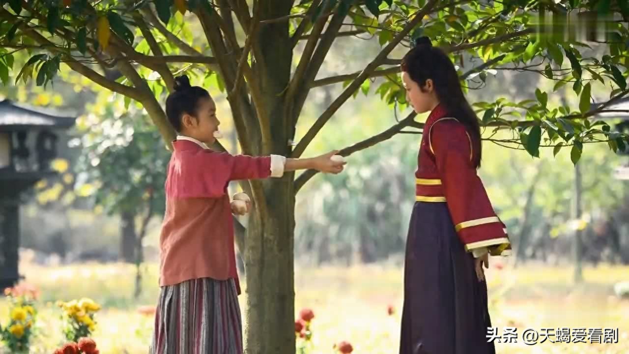 芈月与秦王嬴驷感情发展_芈月与黄歇青梅竹马情缘_芈月传芈月赢驷续写