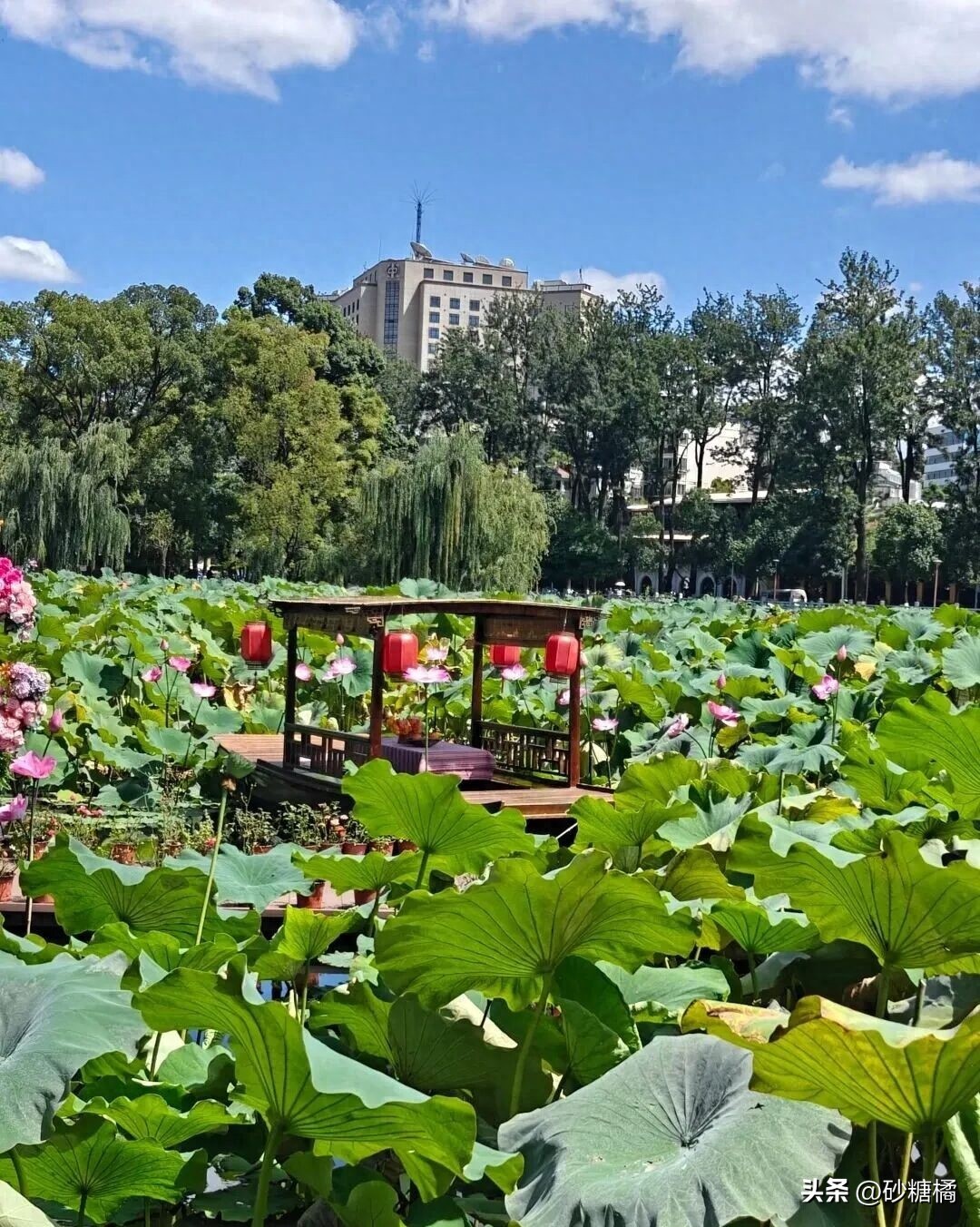 宜居城市推荐_云南昆明旅游攻略_中国十佳休闲宜居生态城市