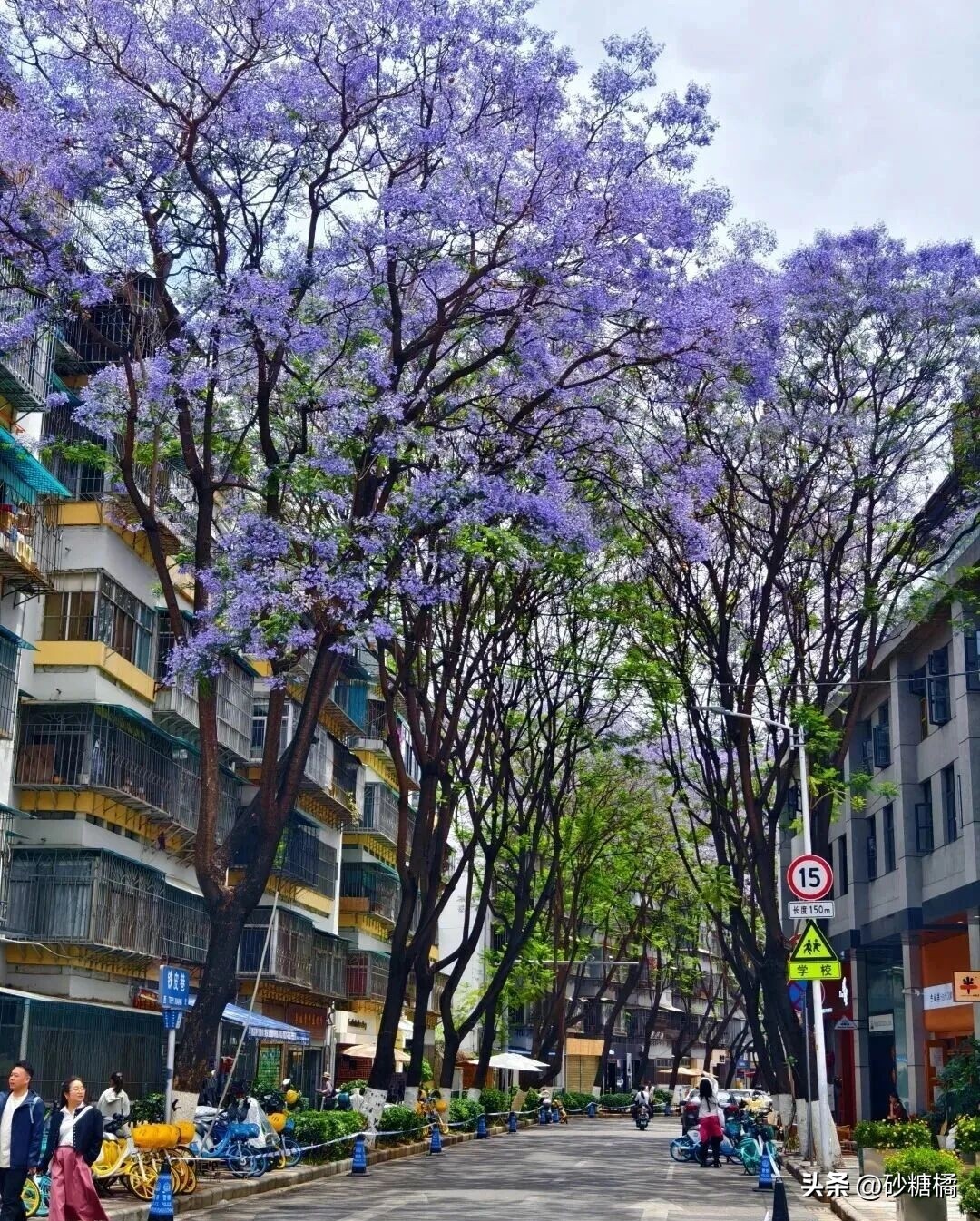 云南昆明旅游攻略_中国十佳休闲宜居生态城市_宜居城市推荐