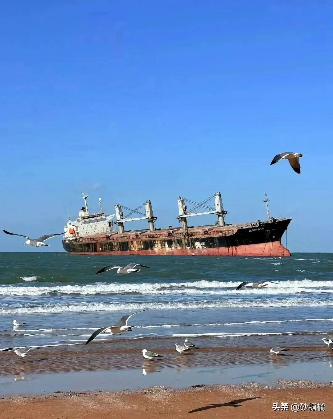 中国十佳休闲宜居生态城市_宜居城市推荐_云南昆明旅游攻略