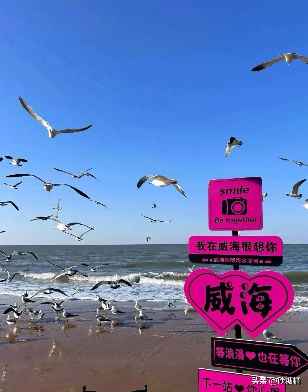 云南昆明旅游攻略_宜居城市推荐_中国十佳休闲宜居生态城市