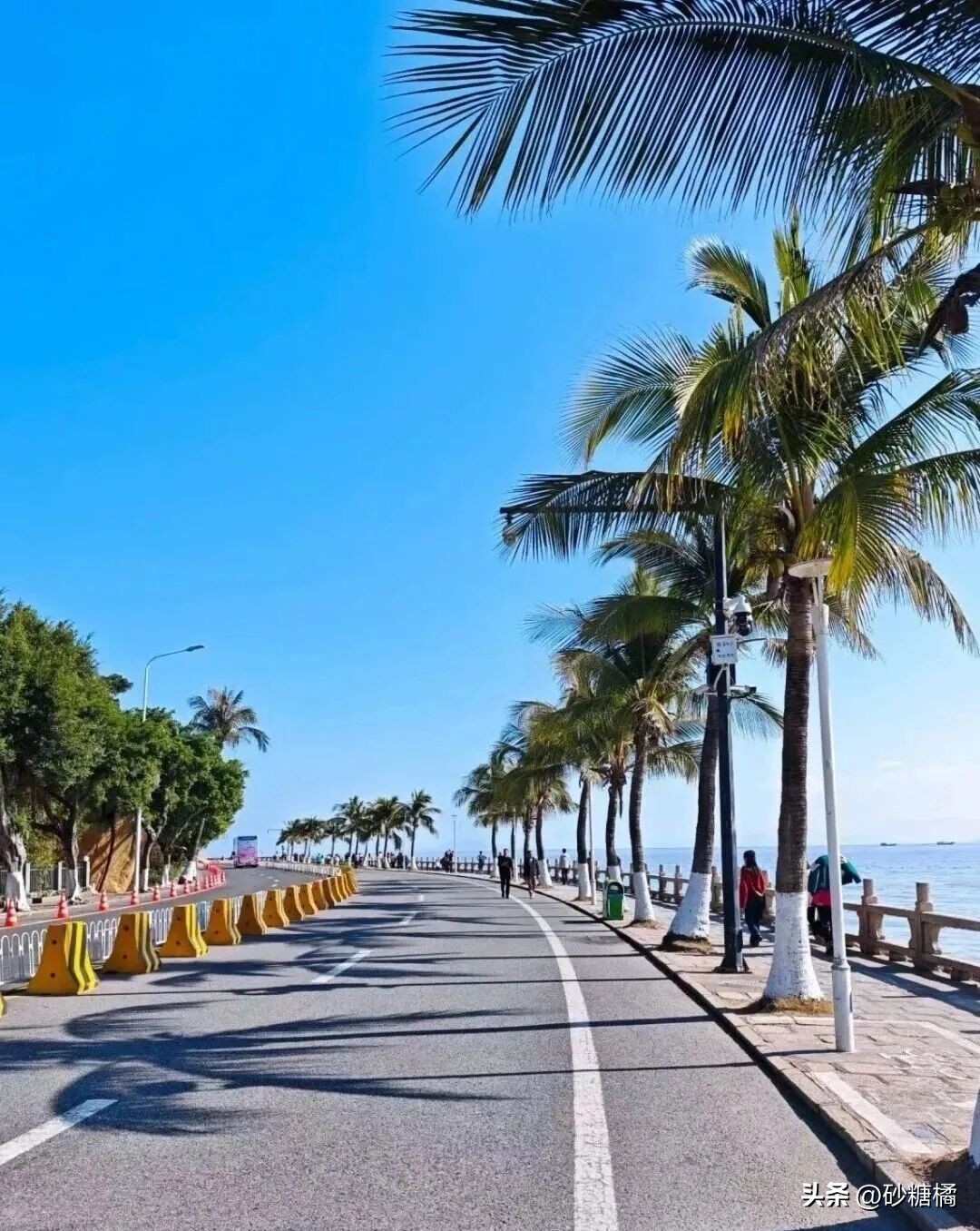 宜居城市推荐_云南昆明旅游攻略_中国十佳休闲宜居生态城市