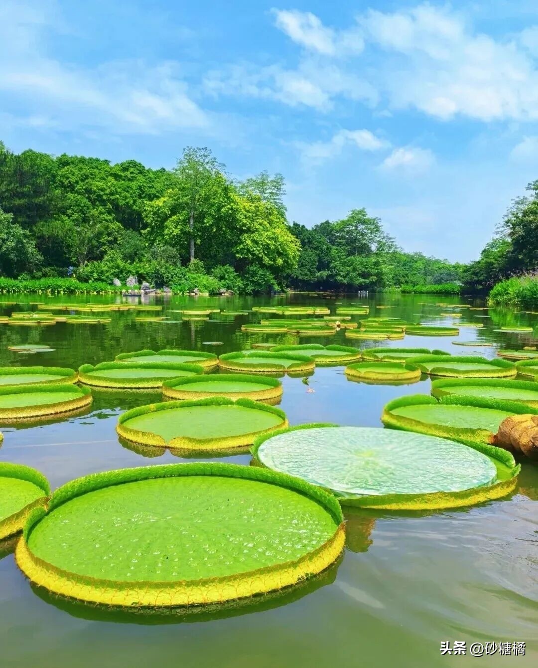 云南昆明旅游攻略_宜居城市推荐_中国十佳休闲宜居生态城市